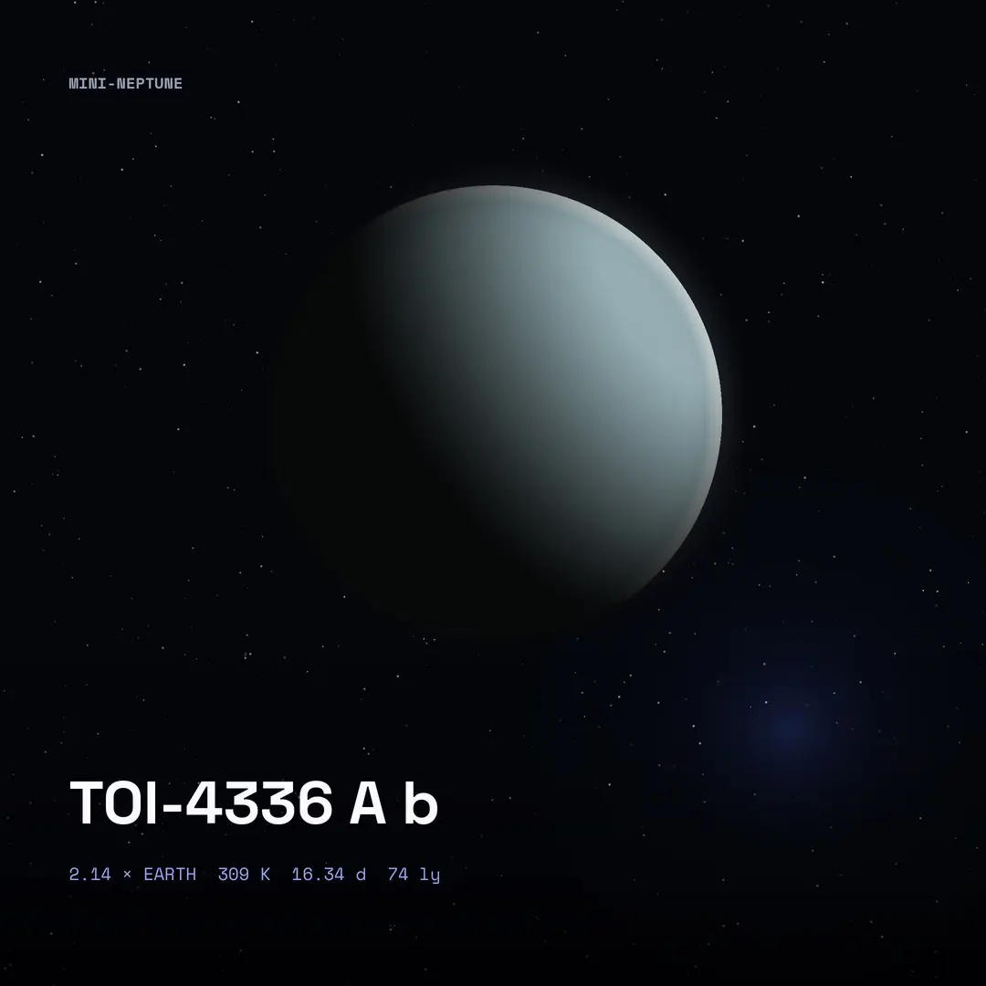 TOI-4336 A b: Habitable Zone, 16-Day Year