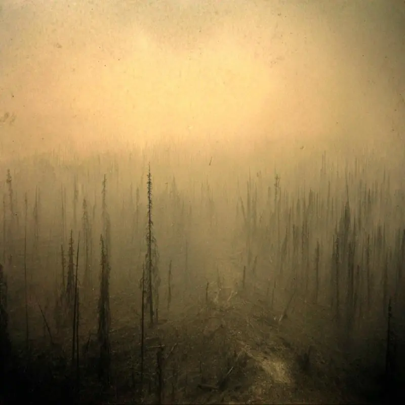 The Tunguska Event