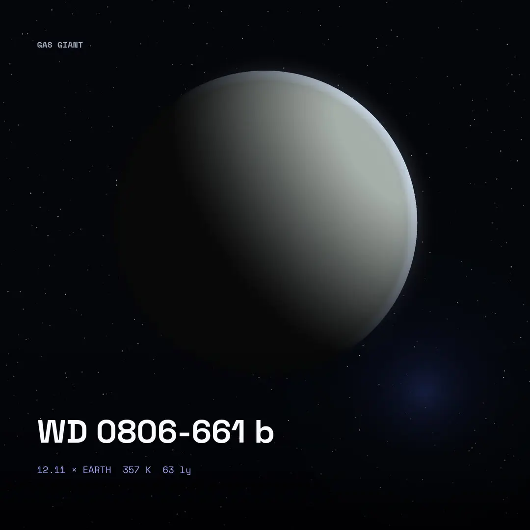 WD 0806-661 b: Photographed, Not Inferred
