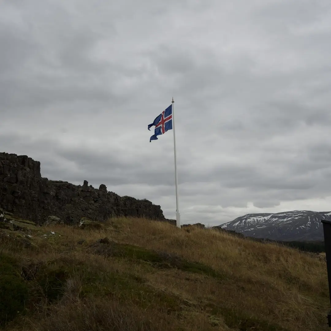 Iceland Voted No and the Fish Won