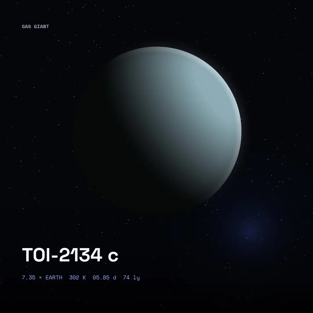 TOI-2134 c: Habitable Zone, 96-Day Year
