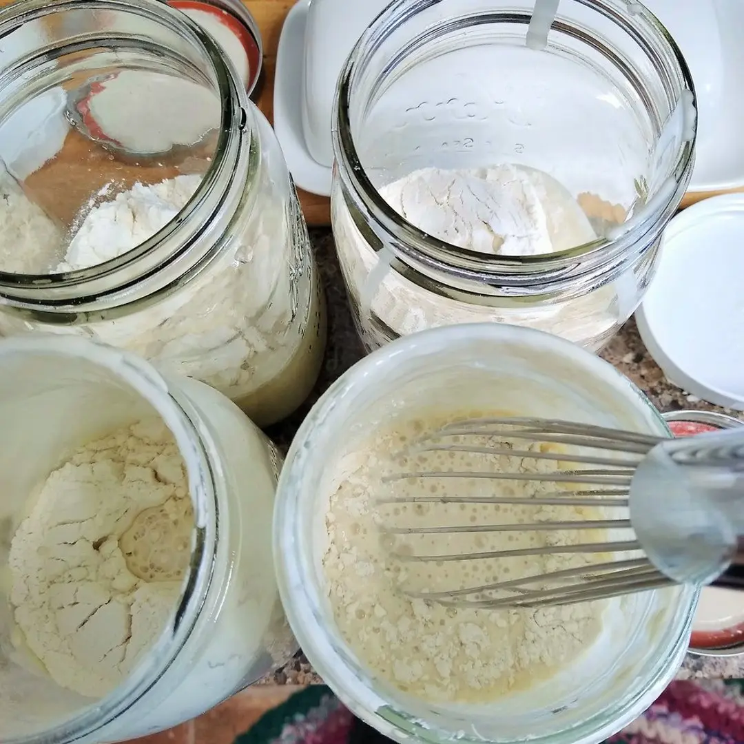 Grow a sourdough starter from scratch in 7 days