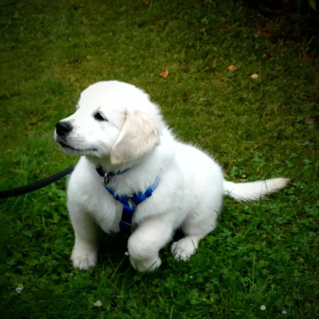 Gallery image 3