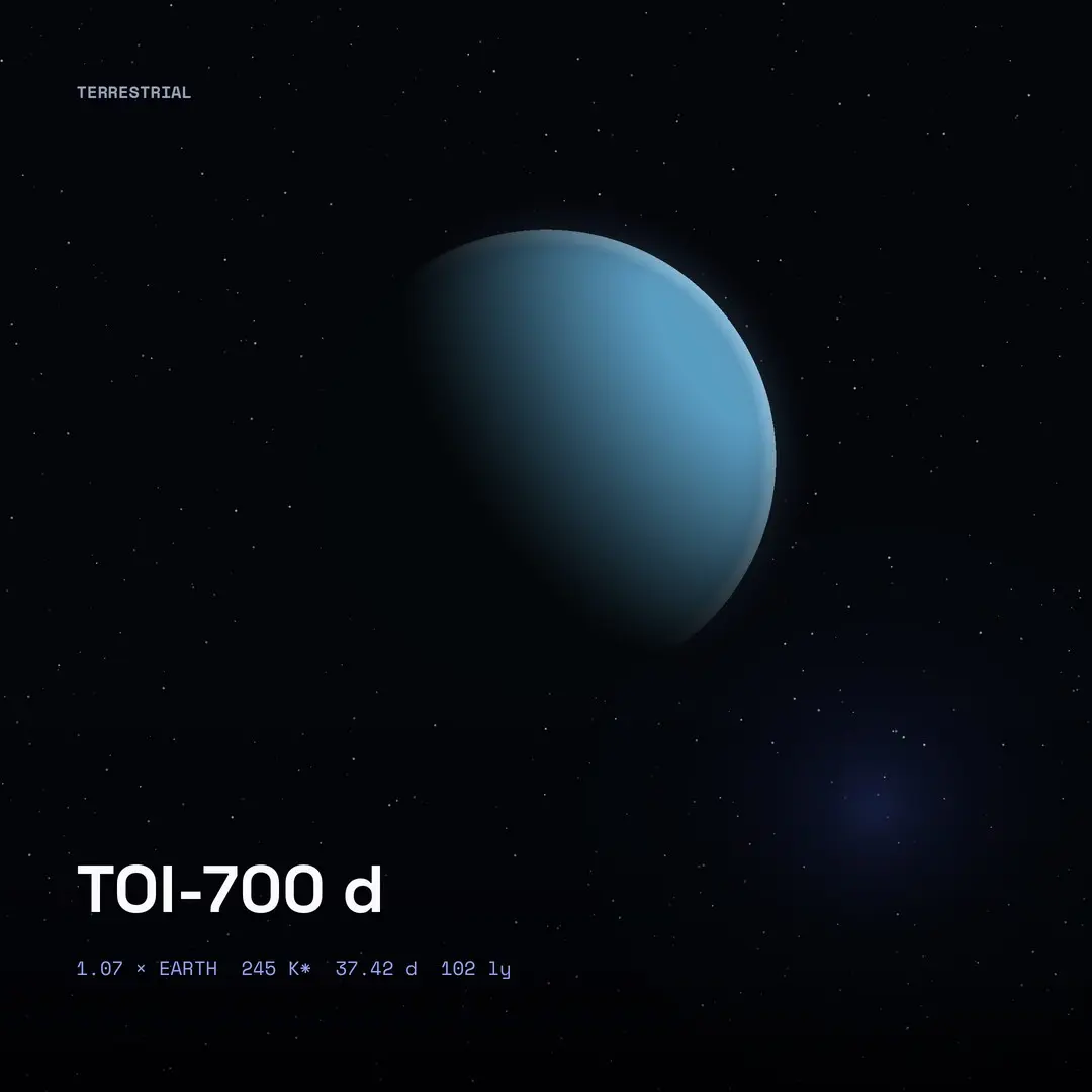 TOI-700 d: Habitable Zone, 37-Day Year